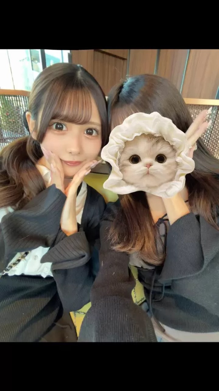 #43 菜菜 第3张图